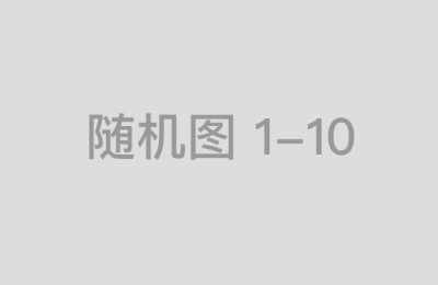 炒如何借股助配中国资炒平台股的配客户资服务如何平台优化提升股